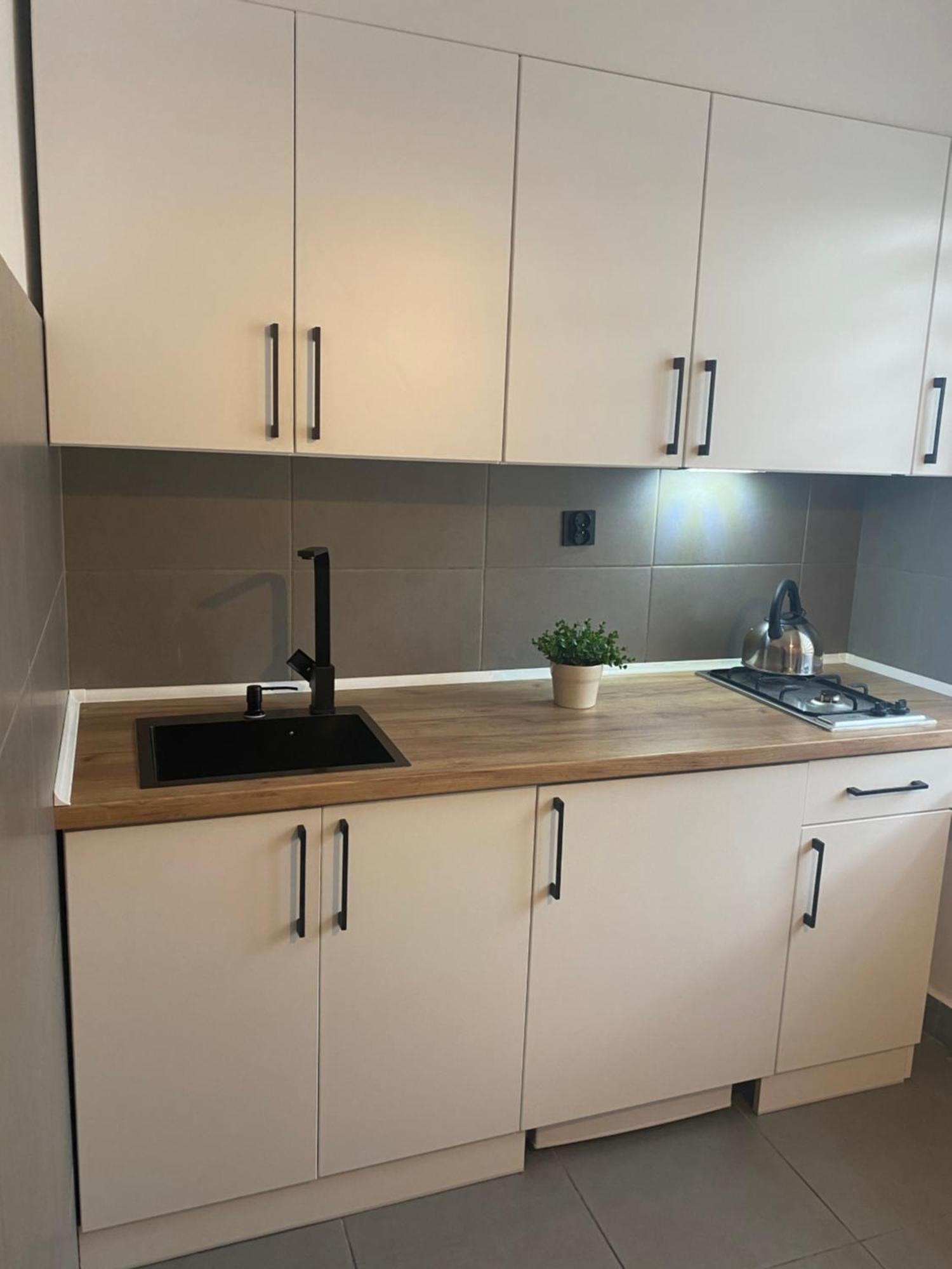 Apartamenty Sloneczna Chata Закопане Екстер'єр фото